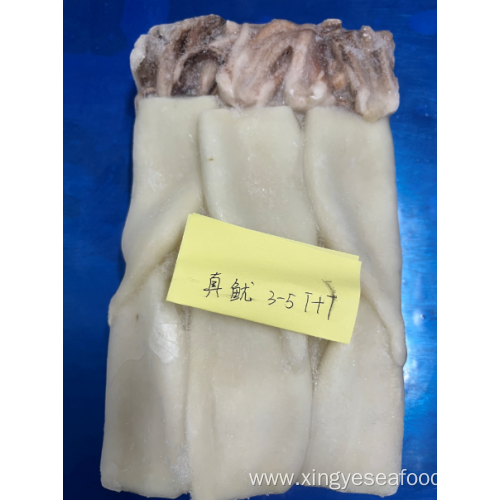 Frozen Squid Tubes And Tentacles Todarodes Pacificus 3-5